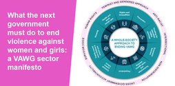 VAWG Manifesto