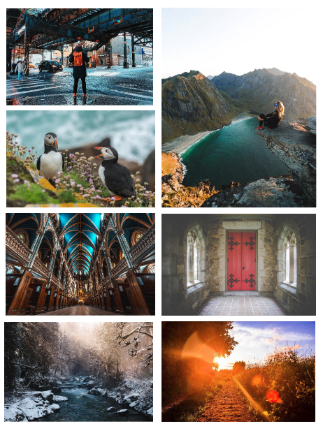 A gallery featuring a number of different scenes, including a wintery river, the inside of a cathedral, some puffins and a metropolitan street shot